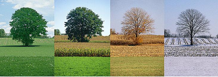 《命运2》新章节“怨魂”发布预告片 章节1内容现已推出
